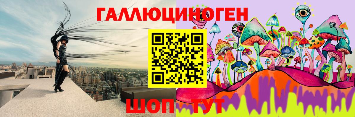Нурлат  где купить наркотик  Псилоцибиновые грибы MAGIC MUSHROOMS  Вход с VPN  Псилоцибиновые грибы MAGIC MUSHROOMS 